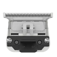 JRL-OST-SF08-2020T-FF-1_1